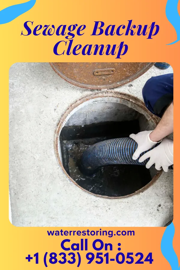 Sewage Backup Cleanup in New Lothrop, MI